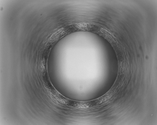 X0000059100702200510211633