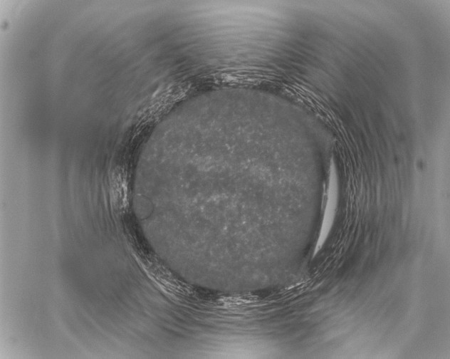 X0000059100703200510211632