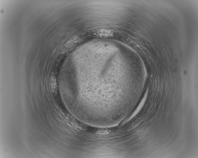 X0000059100704200510211632