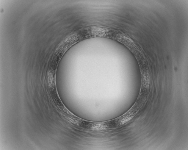 X0000059100705200510211632