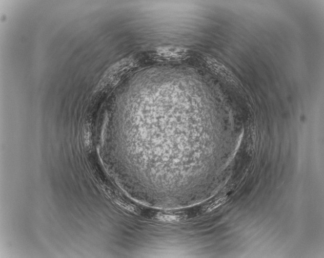 X0000059100706200510211632