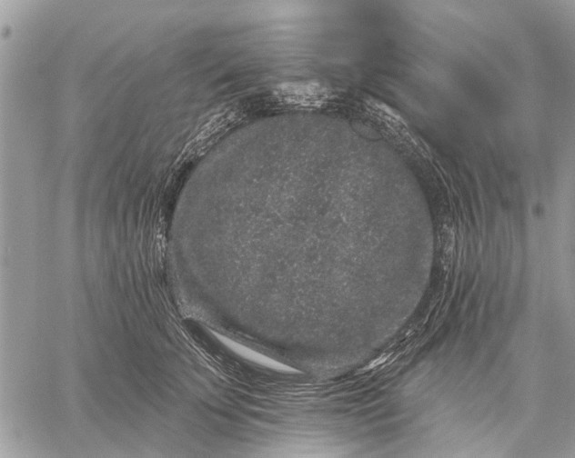 X0000059100707200510211632