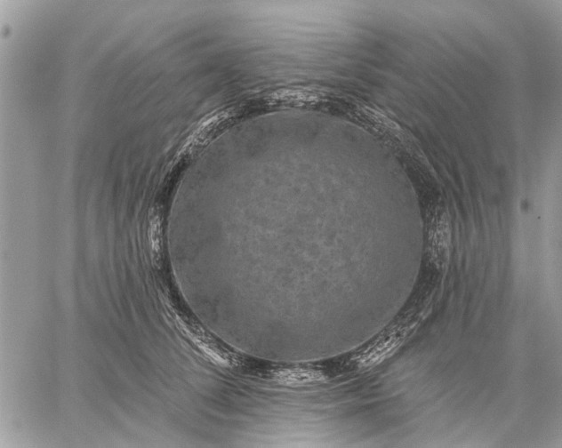 X0000059100708200510211632