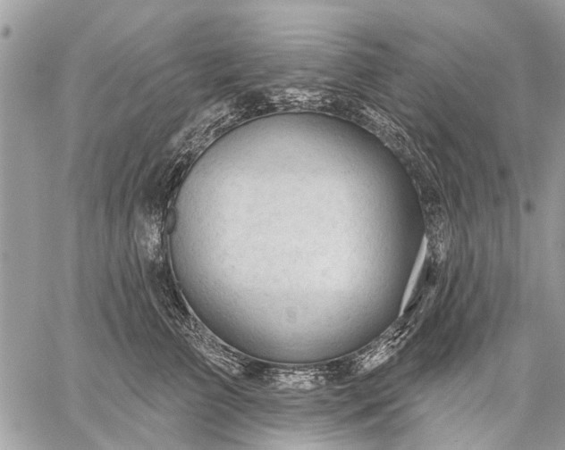 X0000059100709200510211632