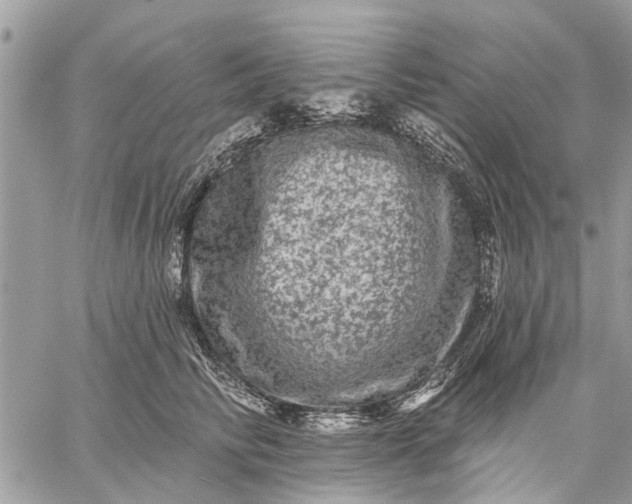 X0000059100710200510211632