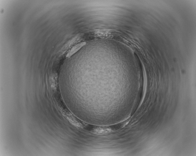 X0000059100712200510211632