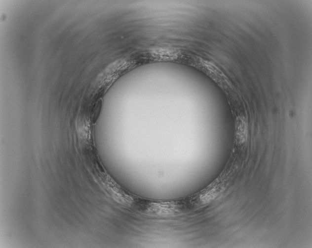 X0000059100713200510211632