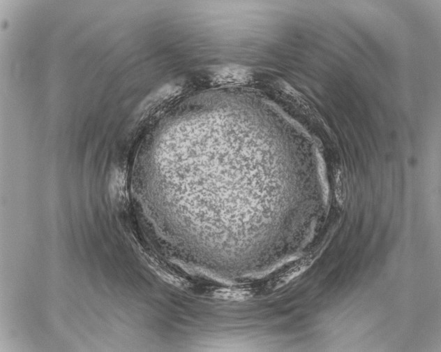 X0000059100714200510211632