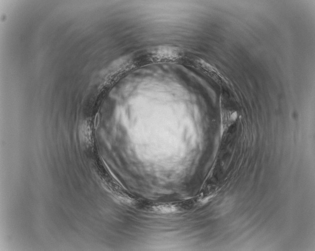 X0000059100715200510211632