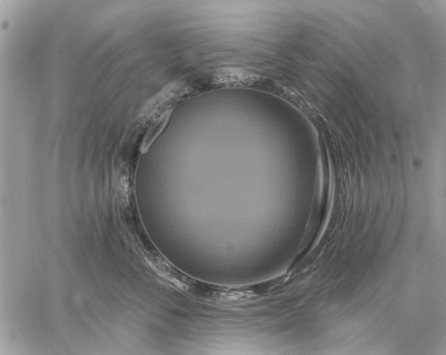 X0000059100716200510211632