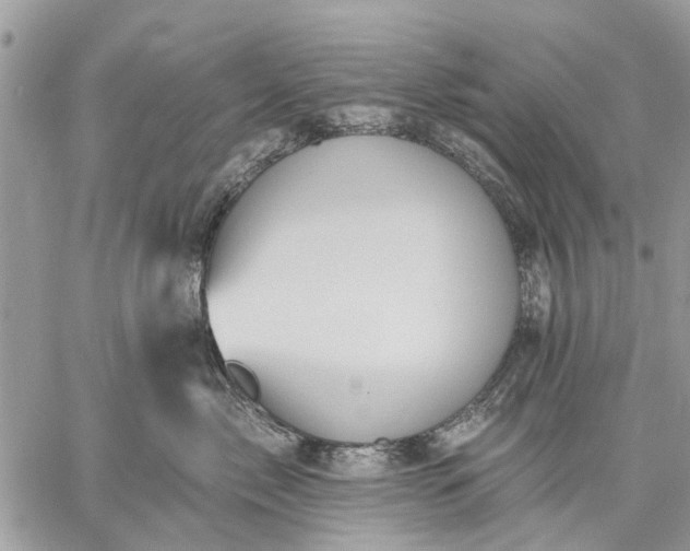 X0000059100717200510211632