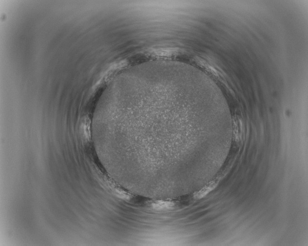 X0000059100718200510211632