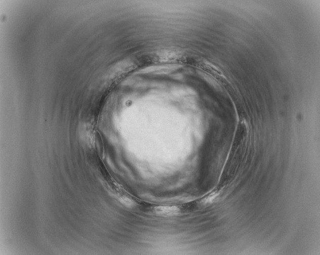 X0000059100719200510211632