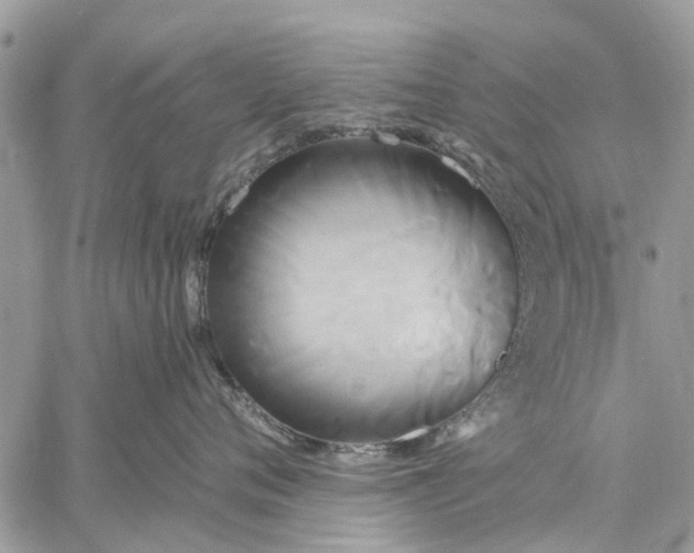 X0000059100720200510211632