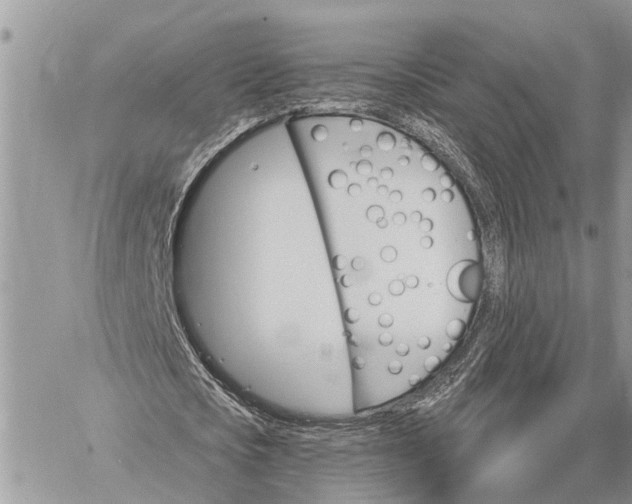 X0000059100721200510211631