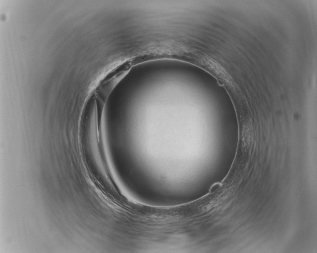 X0000059100722200510211631