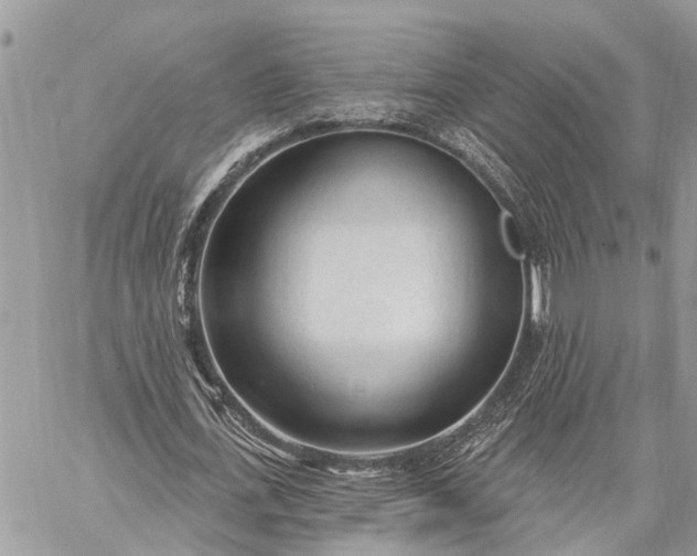 X0000059100723200510211631