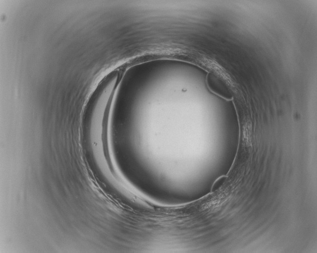 X0000059100724200510211631