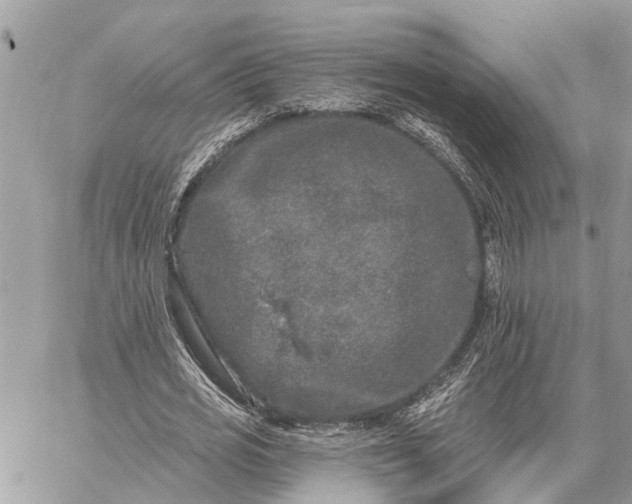 X0000059100725200510211631