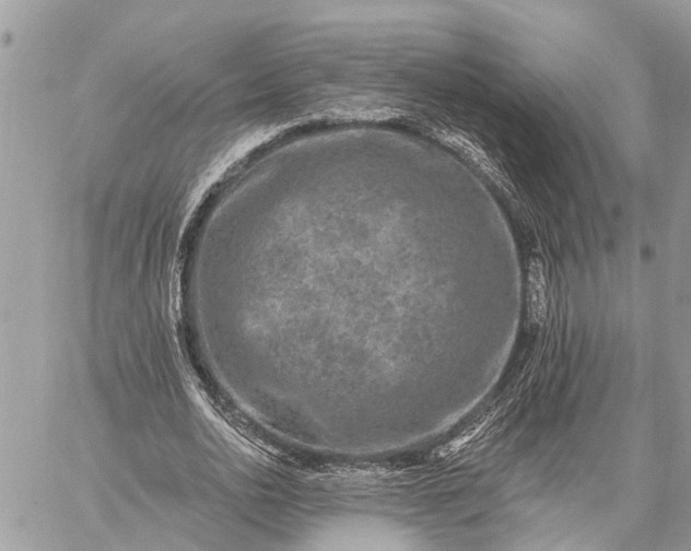 X0000059100726200510211632