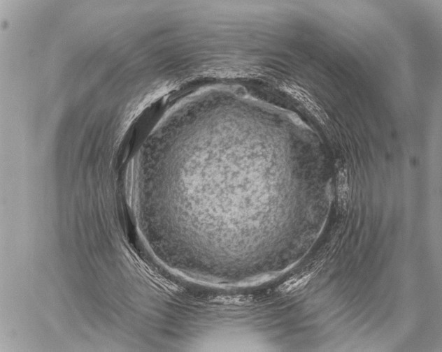 X0000059100727200510211632