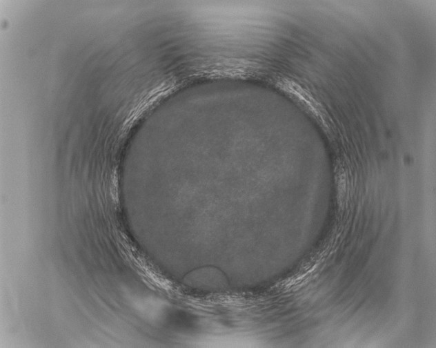 X0000059100729200510211632