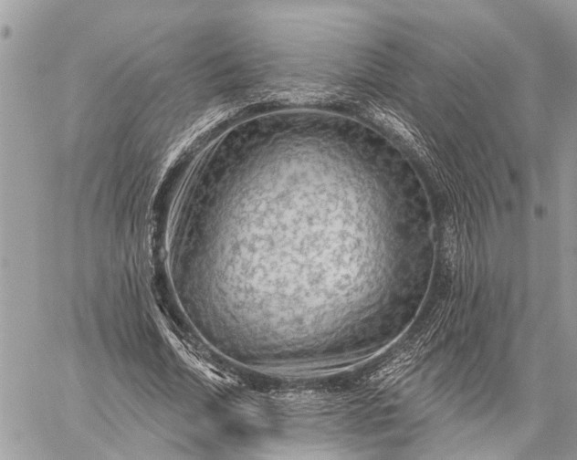 X0000059100730200510211632