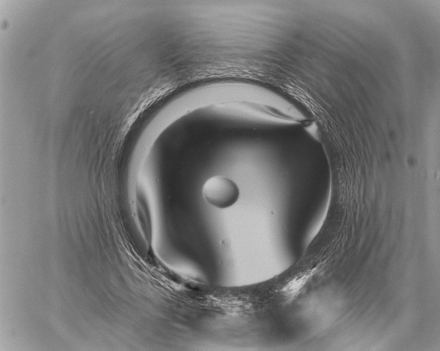 X0000059100731200510211632