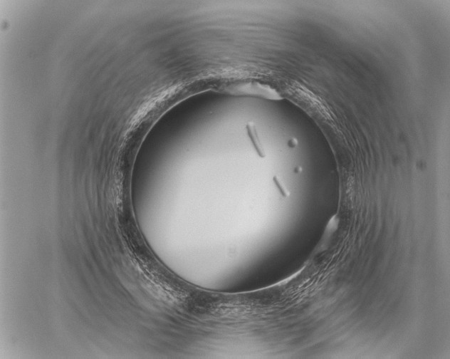 X0000059100732200510211632