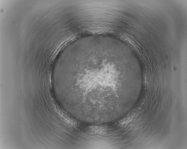 X0000059100733200510211632