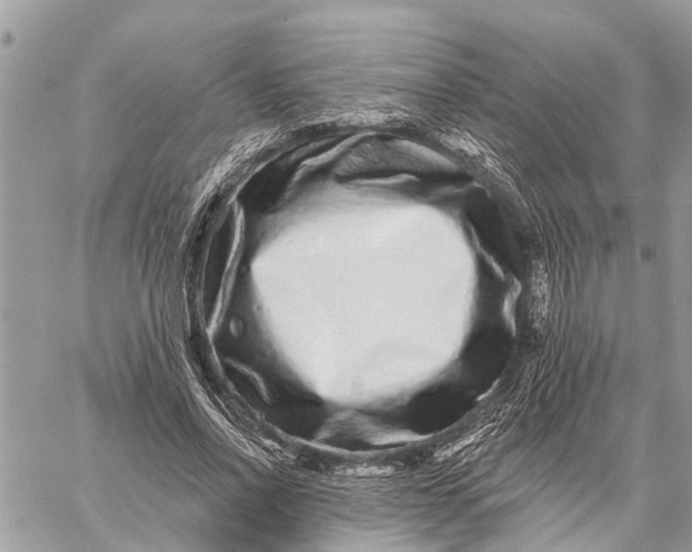 X0000059100734200510211632