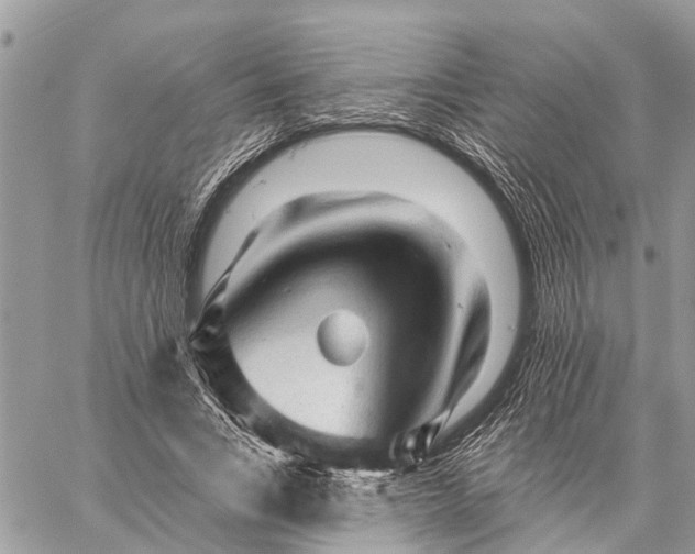 X0000059100735200510211632