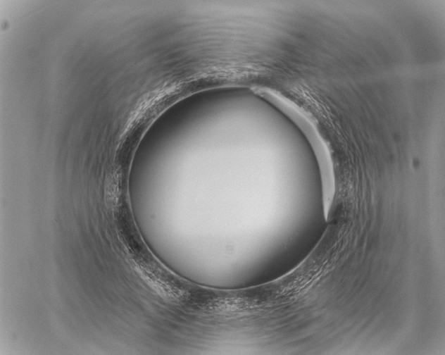 X0000059100736200510211632