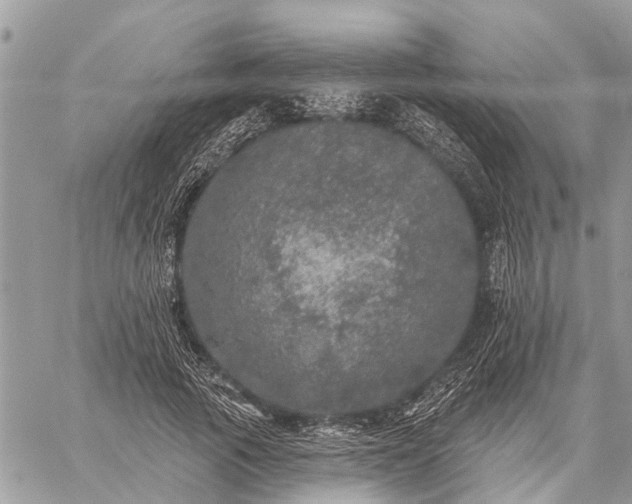 X0000059100737200510211632