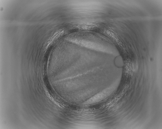 X0000059100738200510211632