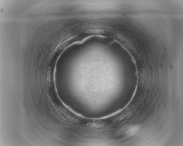 X0000059100739200510211632