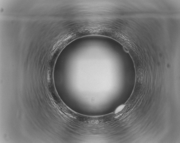 X0000059100740200510211632