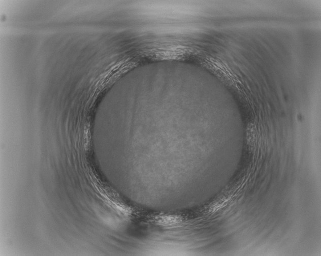 X0000059100741200510211632