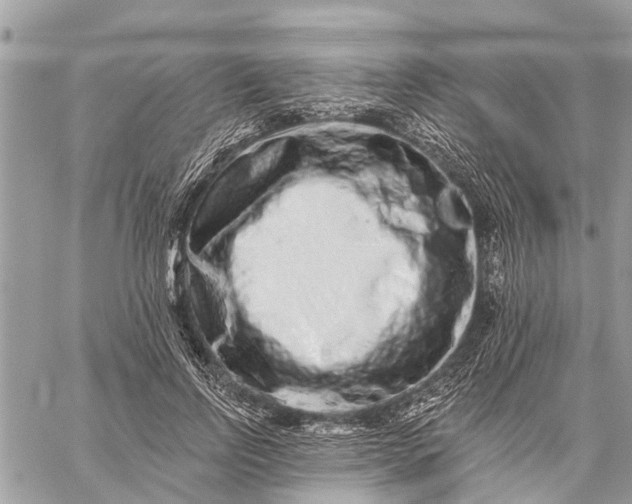 X0000059100742200510211632