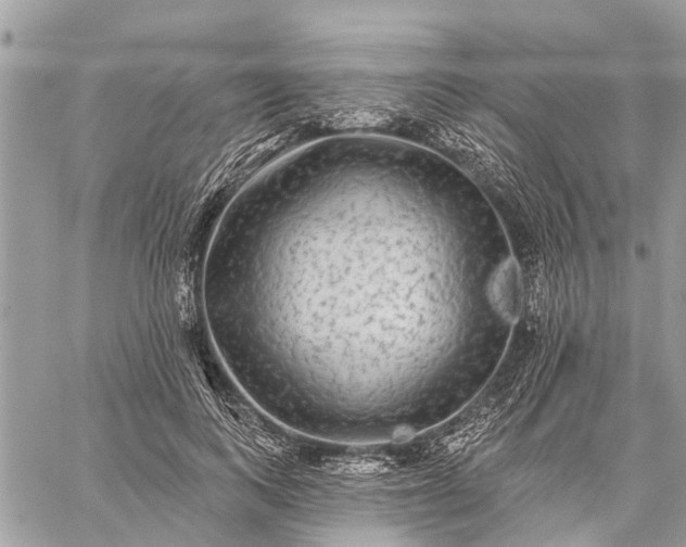 X0000059100743200510211632