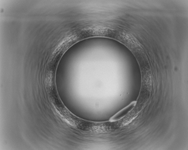 X0000059100744200510211632