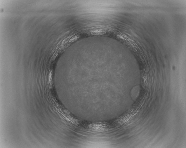 X0000059100745200510211632