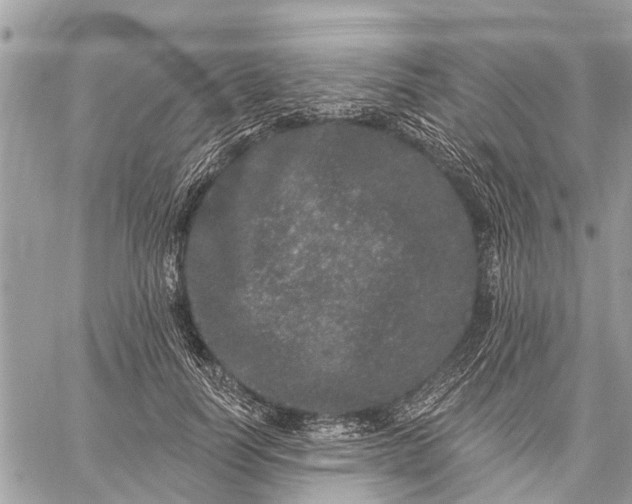 X0000059100746200510211632