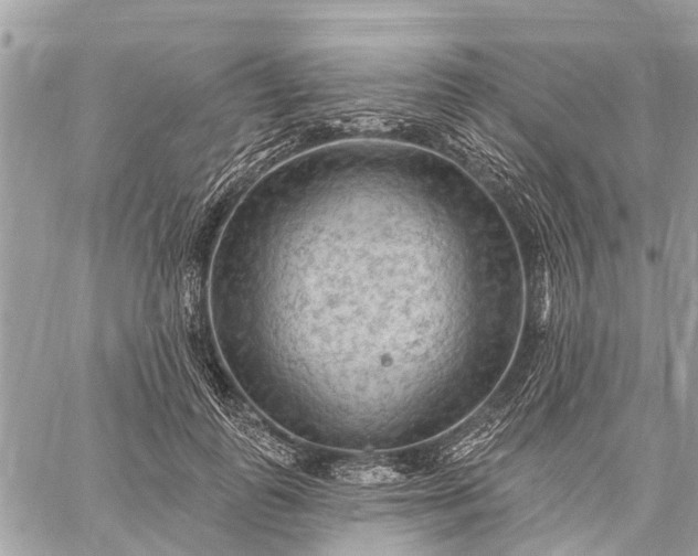 X0000059100747200510211632