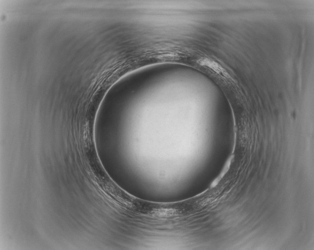 X0000059100748200510211632