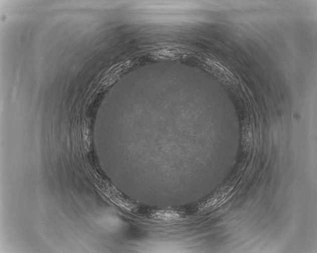 X0000059100749200510211632