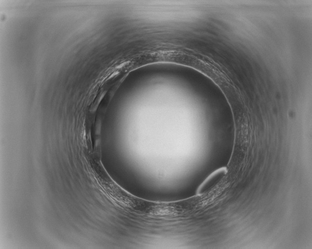 X0000059100750200510211632