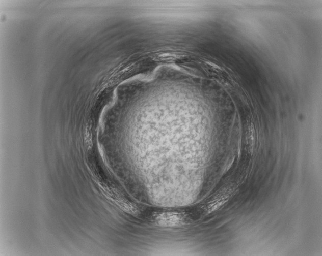 X0000059100751200510211632