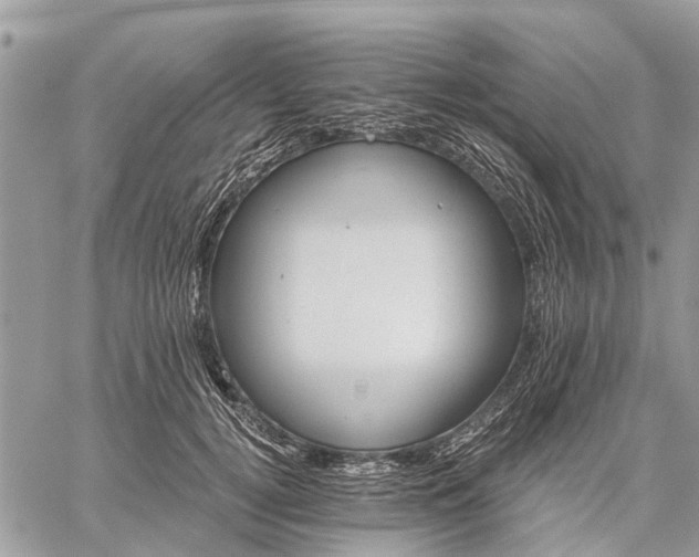 X0000059100752200510211632