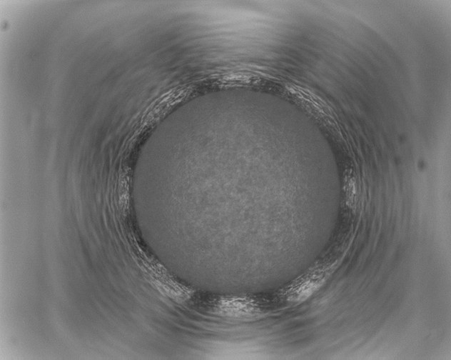 X0000059100753200510211632